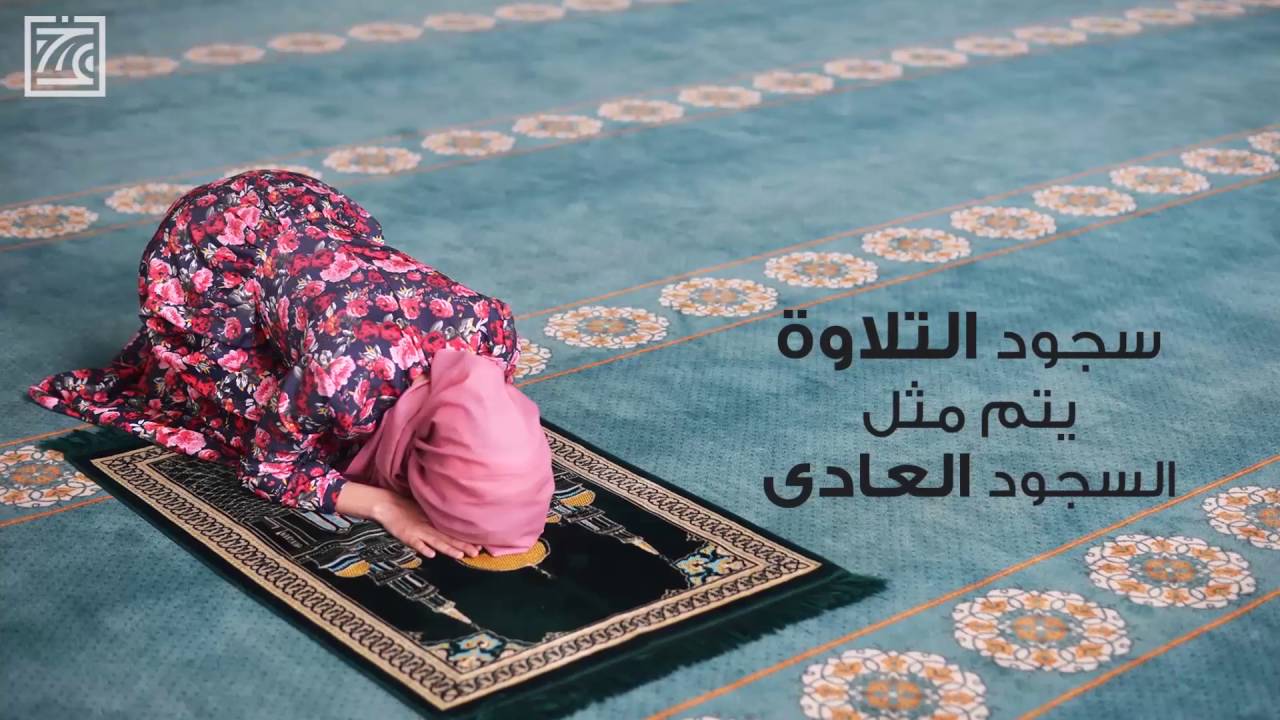 كيف سجدة التلاوة